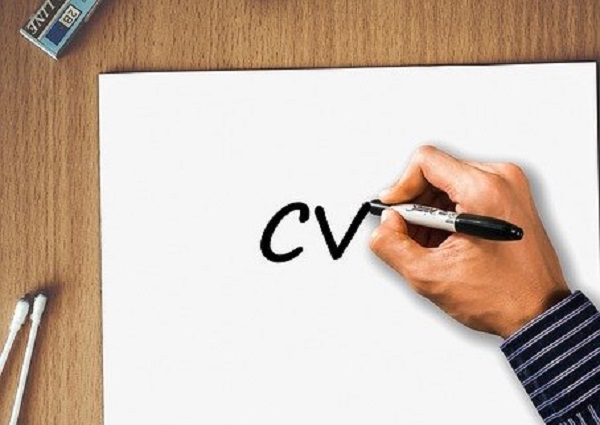 cara membuat cv online