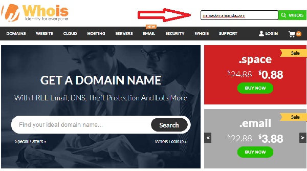 whois domain