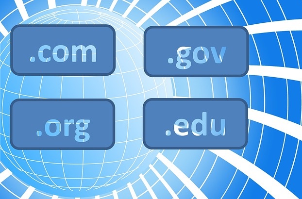 whois domain