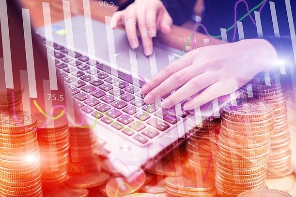 belajar bisnis online