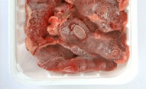 bisnis frozen food