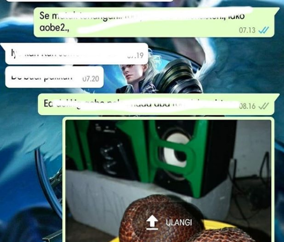 whatsapp tidak bisa kirim gambar